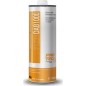 PROTEC P1239 Αντιβακτηριακό Πρόσθετο Πετρελαίου 1L