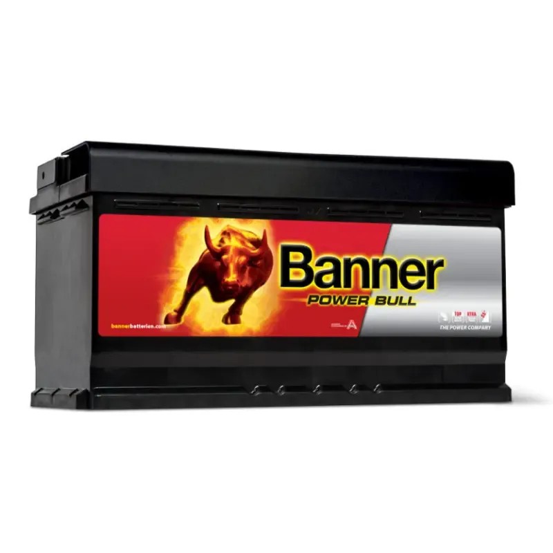 BANNER Μπαταρία 95AH/760A P9533