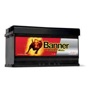 BANNER Μπαταρία 95AH/760A P9533